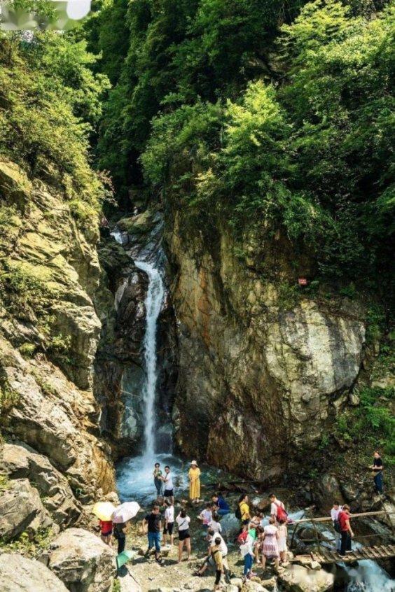 发现冷知识之旅——我和奶奶去银行没戴口罩 没人说我 我奶奶说她们肯定感觉我一看见不是好欺负的 什么意思是不是说我丑？冷知识分享平台